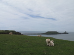 SX22621 Worms Head.jpg